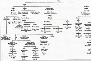History and Mystery: A Genealogy Starter Guide