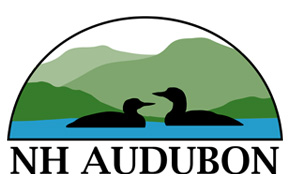 Wilderness Talk with the New Hampshire Audubon